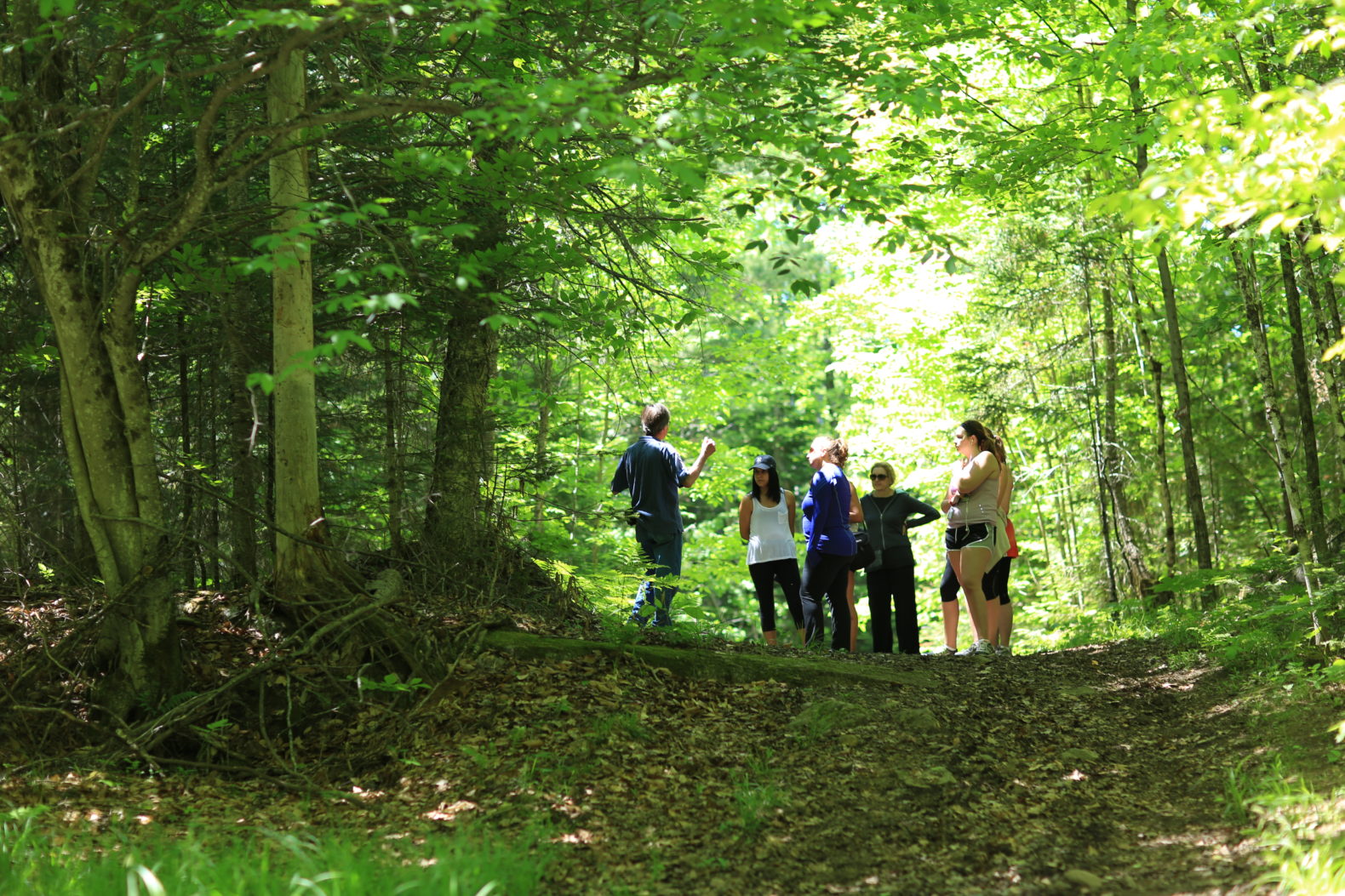 hiking-sports-activity-group-session-grail-springs-canada-holistic-retreat