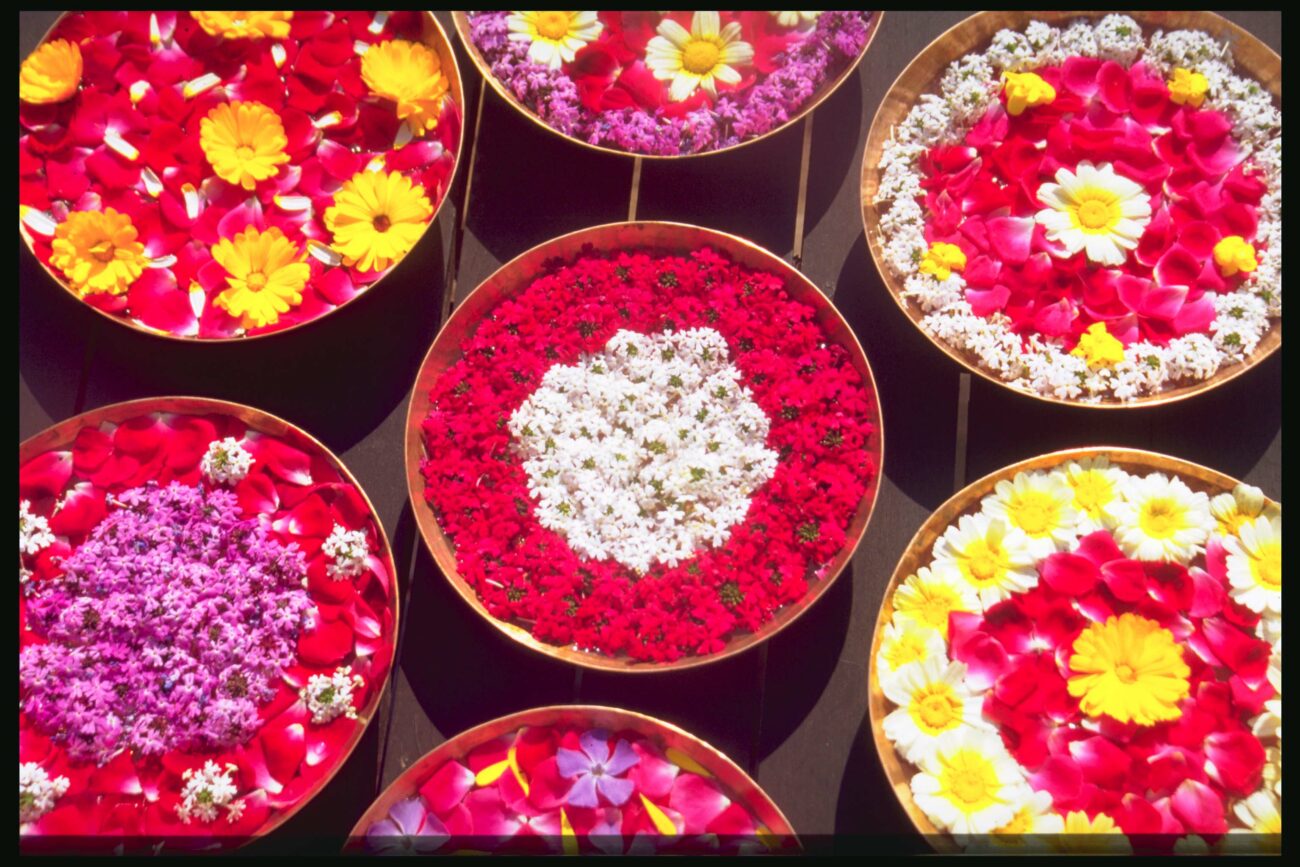 welcome-flowers-colorful-tradition-healing-ananda-in-the-himalayas-india