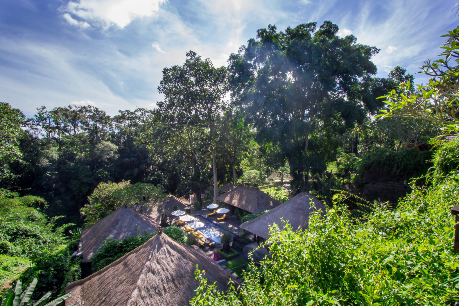 view-of-estate-how-it-looks-forest-bathing-palm-trees-healing-sukhavati-hotel-retreat-bali-asia
