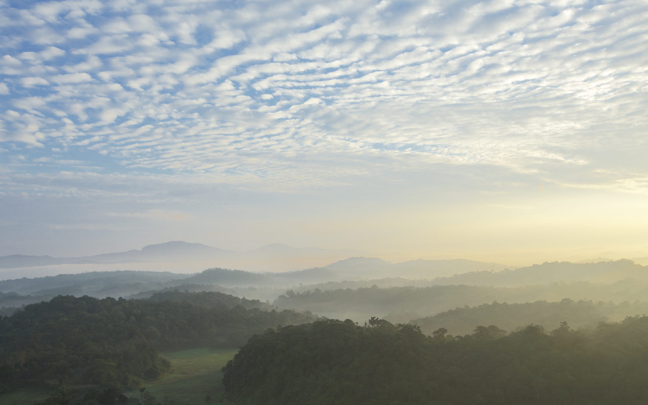 Landscape forest view with sunshine and clouds Vivanta By Taj Madikeri, Coorg India