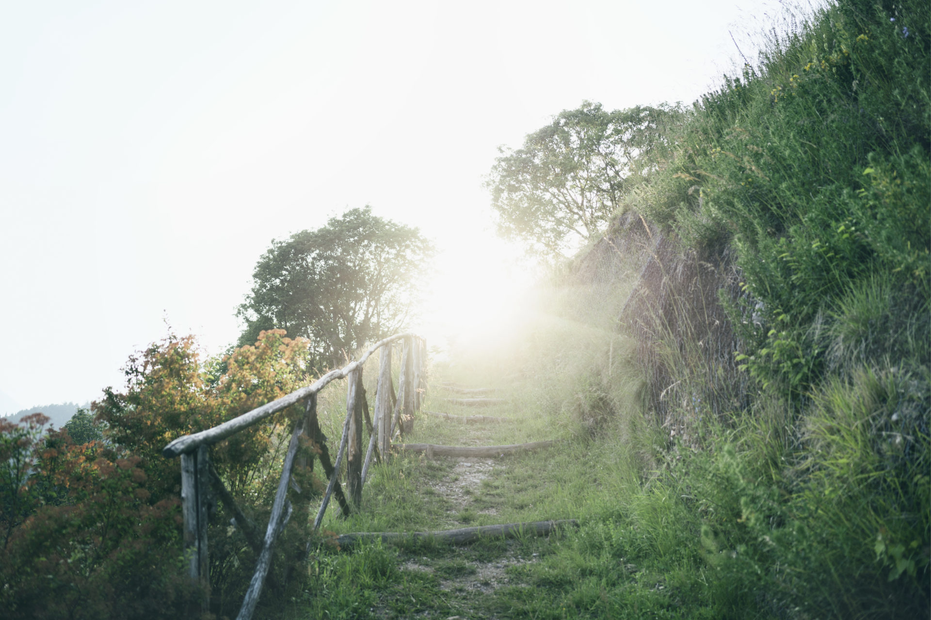 set-your-goal-before-you-arrive-path-motivation-travel-to-heal-healing-hotels-of-the-world-journey