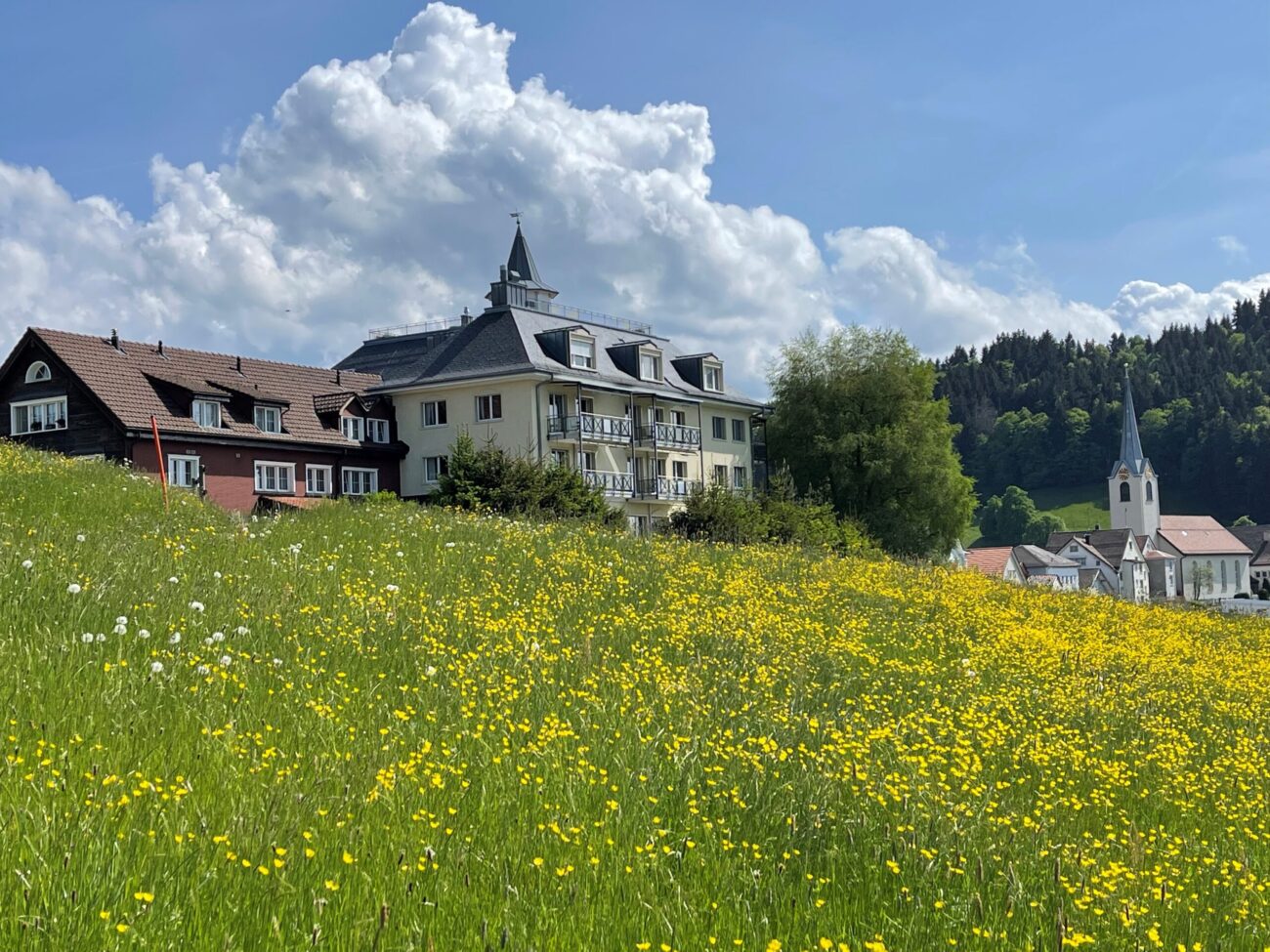 Beautiful landscape at Sonnenberg Health Hotel